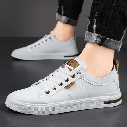 Belnor Signature Sneakers